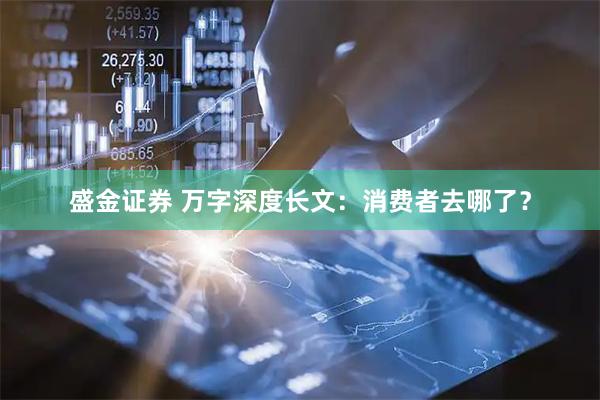 盛金证券 万字深度长文：消费者去哪了？