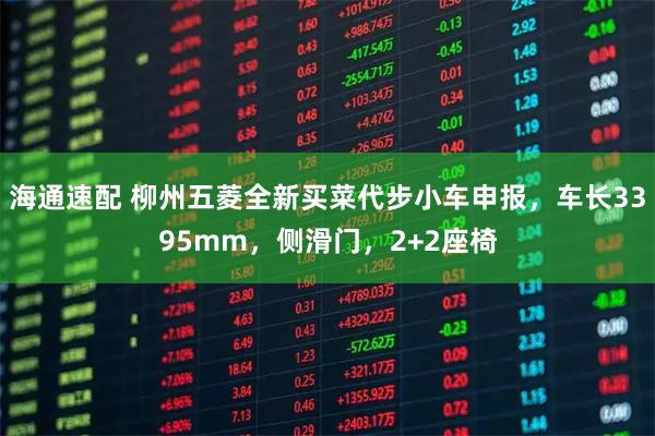 海通速配 柳州五菱全新买菜代步小车申报，车长3395mm，侧滑门，2+2座椅