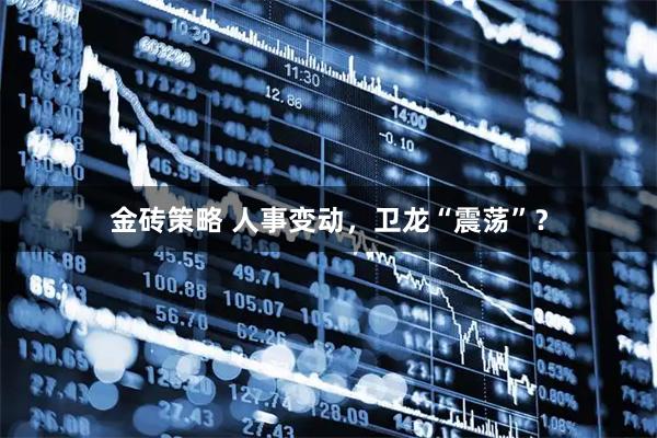 金砖策略 人事变动，卫龙“震荡”？